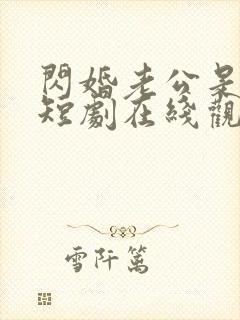 闪婚老公是总裁短剧在线观看