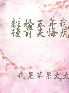 离婚五年我再婚后前夫悔疯了