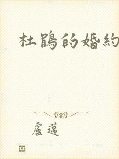 杜鹃的婚约全集