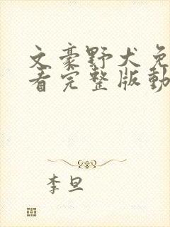 文豪野犬免费观看完整版动漫