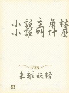 小说主角林云的小说叫什么