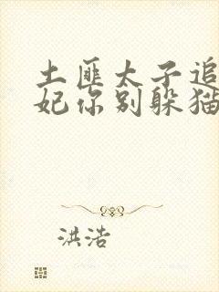 土匪太子追妻逃妃你别躲猫猫宋令仪的小说