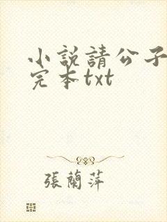 小说请公子斩妖完本txt