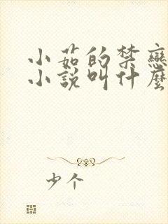 小茹的禁恋原著小说叫什么