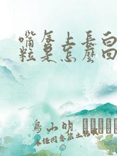 嘴唇上长白色颗粒是怎么回事