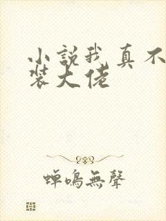 小说我真不是女装大佬