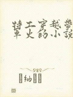 特工穿越带空间军火的小说