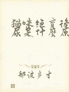 猫咪绝育后还乱尿是什么原因