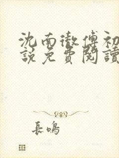 沈南彻傅初安小说免费阅读最新章节