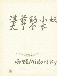 湛爷的小妖精长大了全本