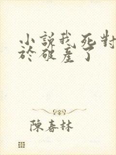 小说我死对头终于破产了