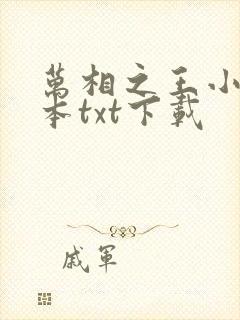 万相之王小说全本txt下载