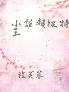 小说超级特战兵王