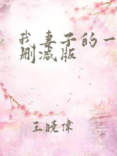 我妻子的一切未删减版