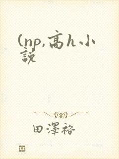 (np,高h小说
