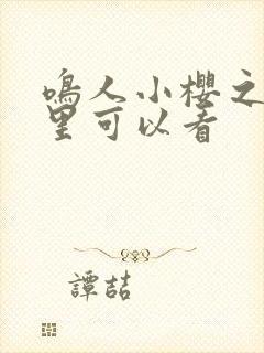 鸣人小樱之夜哪里可以看