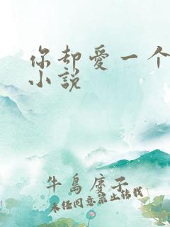 你却爱一个烧饼小说