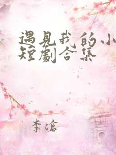 遇见我的小欢喜短剧合集