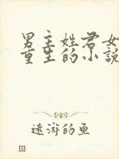 男主姓君女主是重生的小说