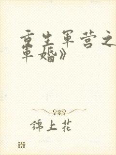 重生军营之王牌军婚》