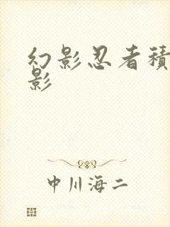 幻影忍者积木电影