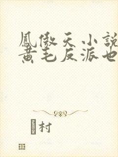 凤傲天小说里的黄毛反派也想幸福沐恩