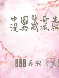 中国惊奇先生动漫无删减版