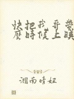 快把我哥带走什么时候上映