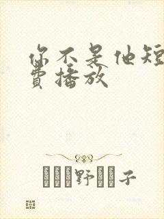 你不是他短剧免费播放