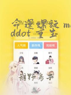 命运螺旋 middot 重生