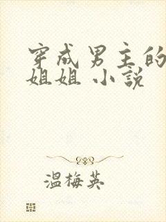 穿成男主的反派姐姐 小说