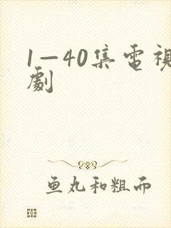 1—40集电视剧