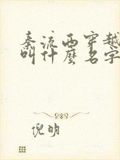 秦流西穿越小说叫什么名字
