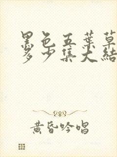 黑色五叶草一共多少集大结局