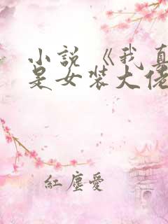 小说 《我真不是女装大佬》