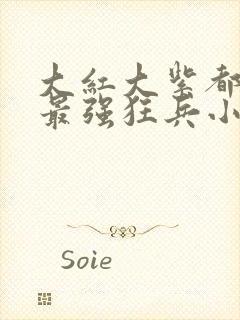 大红大紫都市之最强狂兵小说