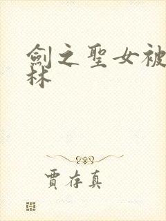 剑之圣女被哥布林