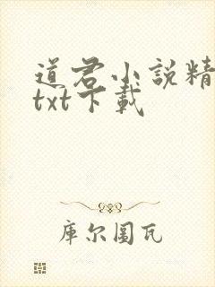 道君小说精校版txt下载