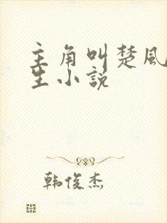 主角叫楚风的重生小说