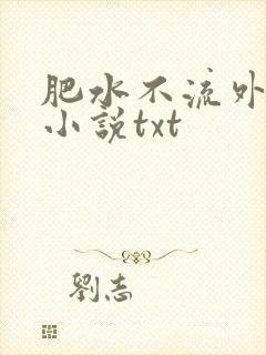 肥水不流外人田小说txt