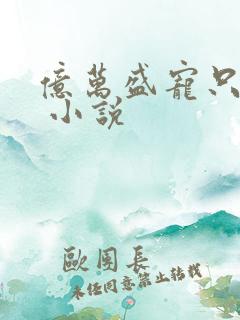 亿万盛宠只为你 小说