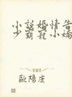 小说婚情告急顾少霸宠小娇妻