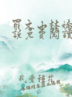 罗文山林娇娇小说免费阅读笔趣阁