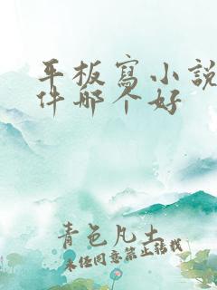 平板写小说的软件哪个好