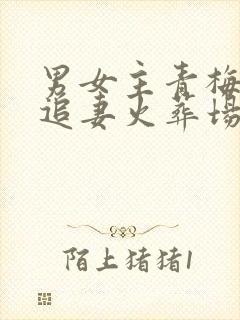 男女主青梅竹马追妻火葬场