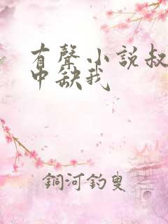 有声小说叔你命中缺我