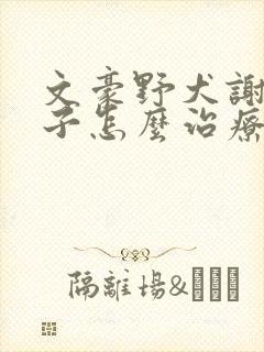 文豪野犬谢野晶子怎么治疗