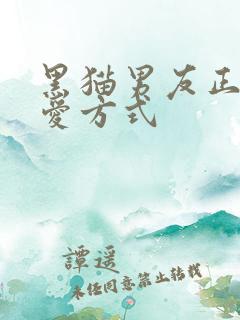 黑猫男友正确疼爱方式