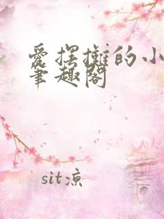 爱摆摊的小夫郎笔趣阁