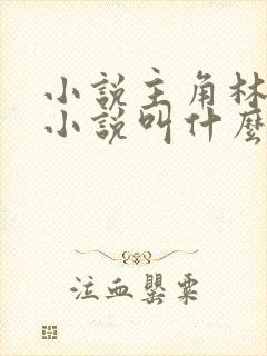 小说主角林辰的小说叫什么